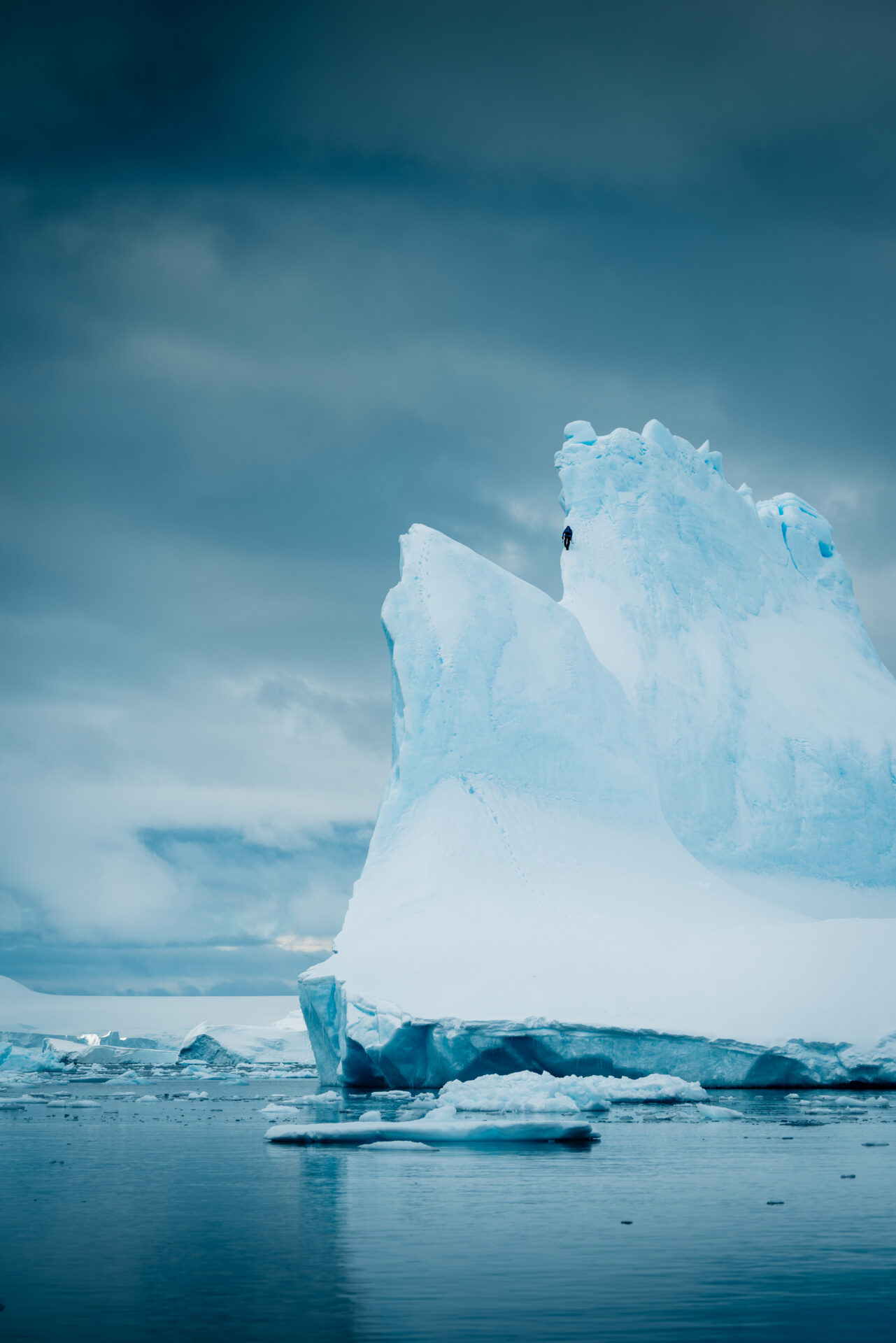 Festival gorniškega filma - Festival